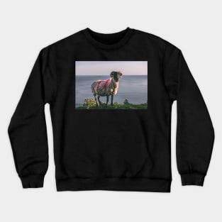 Achill Island Sheep Crewneck Sweatshirt